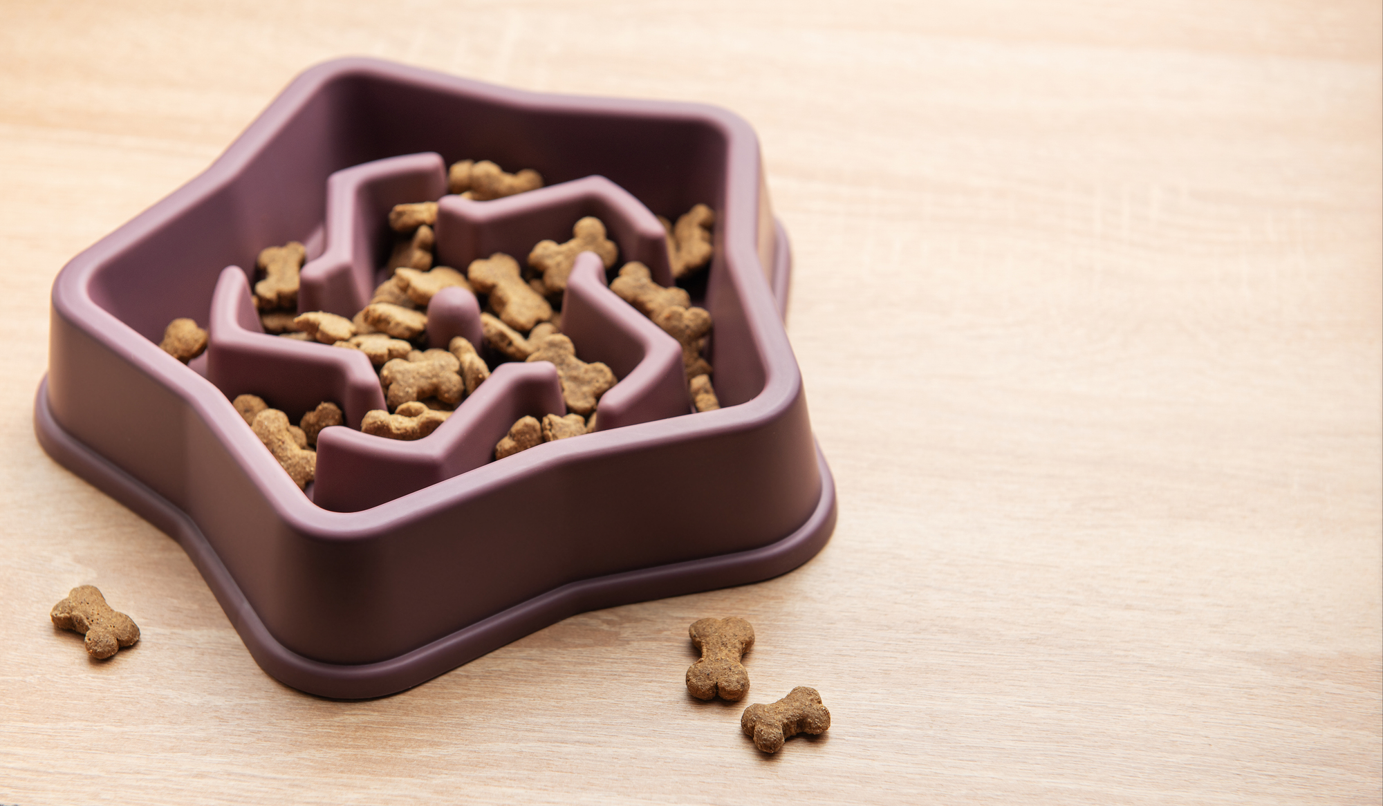 なぜペット用品にシリコーンが使われるのか？